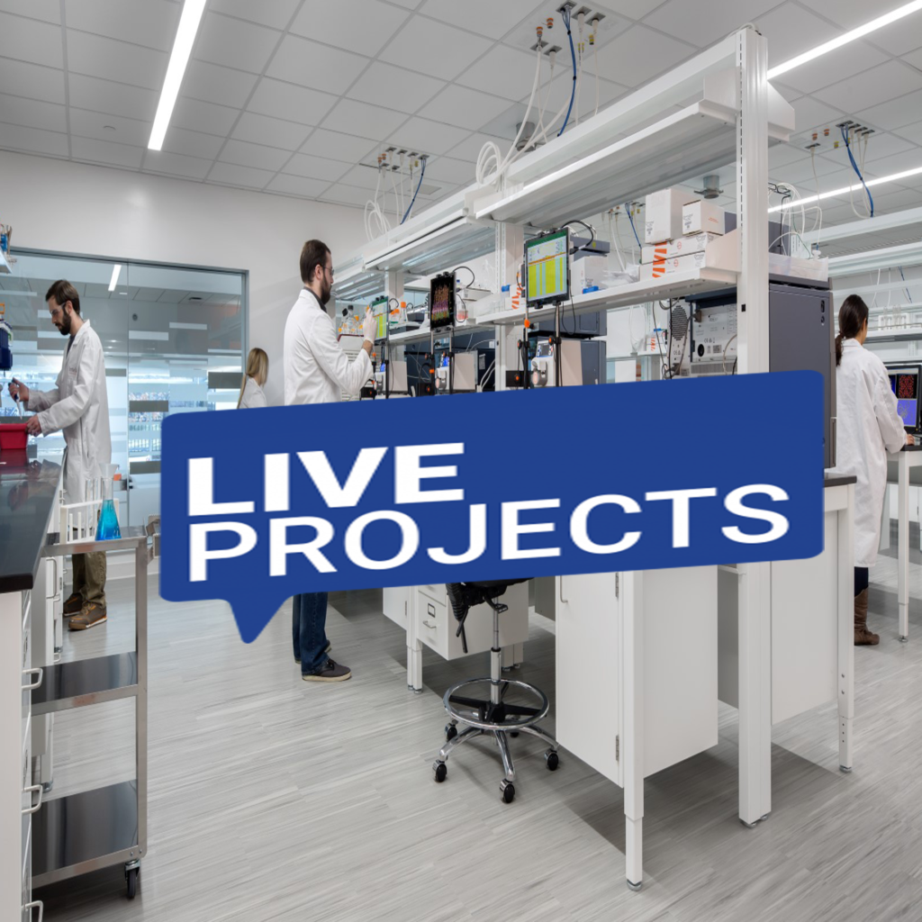 Live Projects